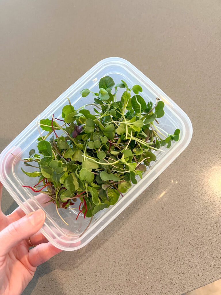 A bowl of micro greens. 
