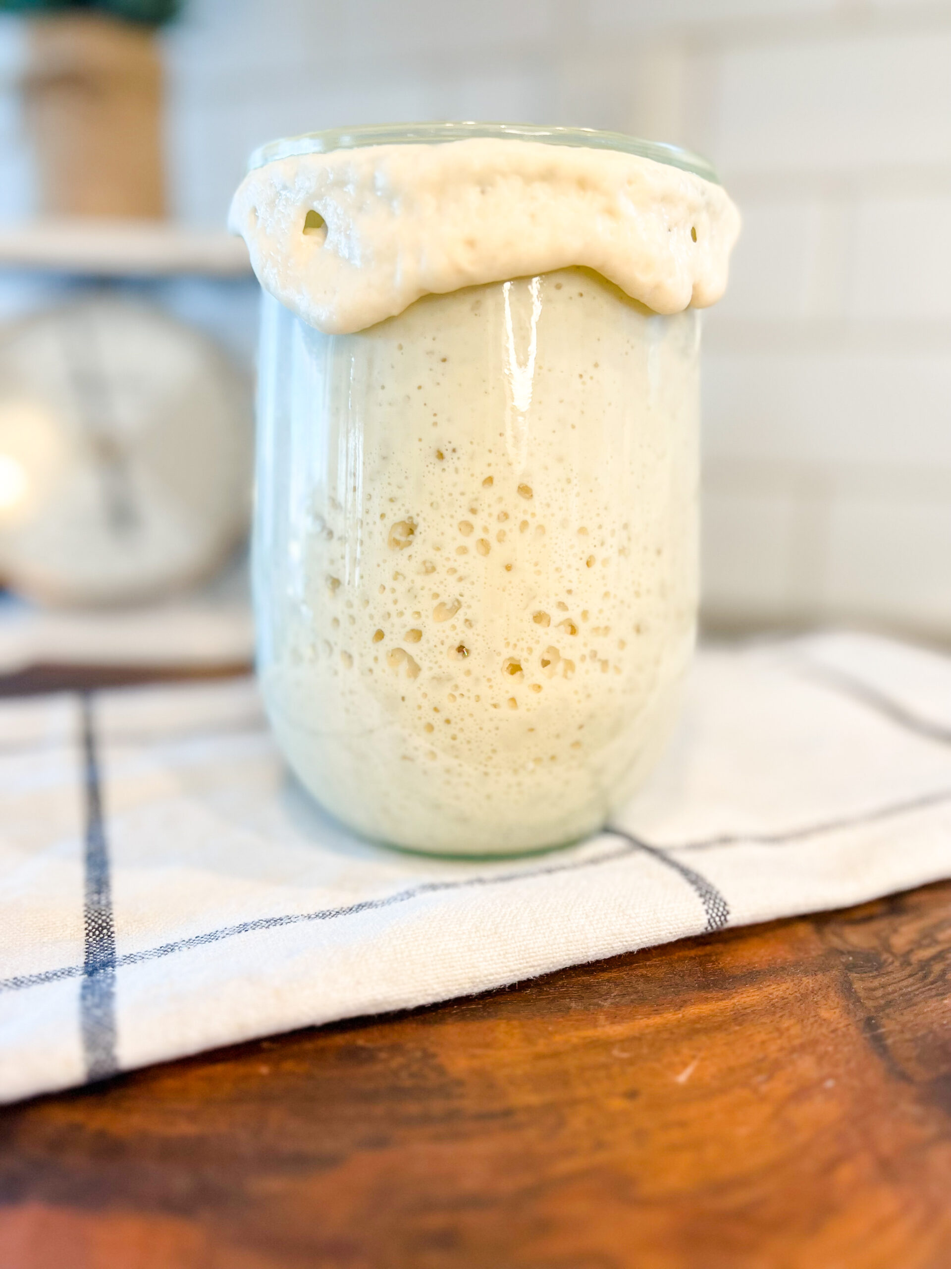 How to Maintain and Feed A Sourdough Starter