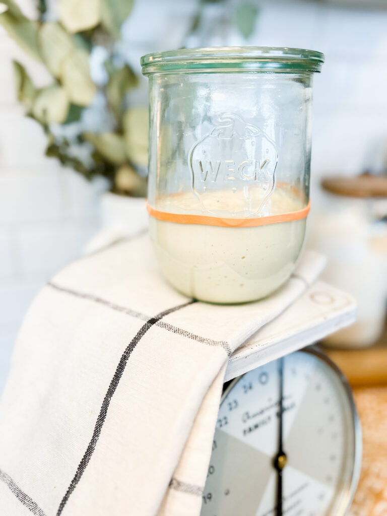 Picture of a weck jar with a rubber band wrapped around it, filled with sourdough starter sitting on an old fashioned scale